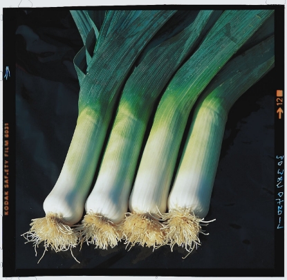 Picture of Organic Leek Autumn Giant 2